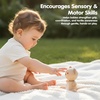 image:imagePlanToys LittleBear Wooden Baby Rattle amp Grasping Toy  Montessori Sensory Development for Coordination Focus amp Auditory Learning  EcoFriendly Infant Educational ToyLittle Bear